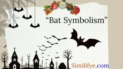 Bat Symbolism