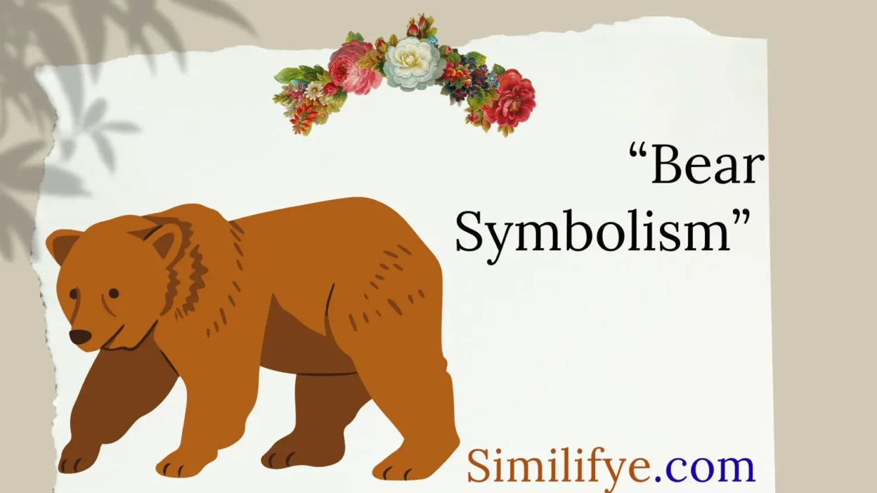 Bear Symbolism