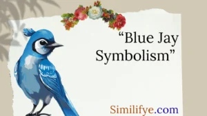 Blue Jay Symbolism
