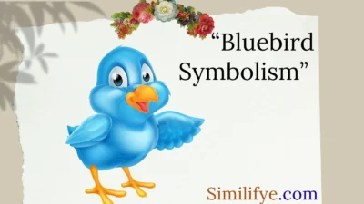 Bluebird Symbolism