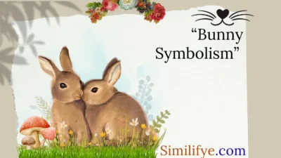 Bunny Symbolism
