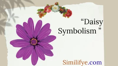 Daisy Symbolism