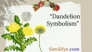 Dandelion Symbolism