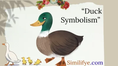 Duck Symbolism