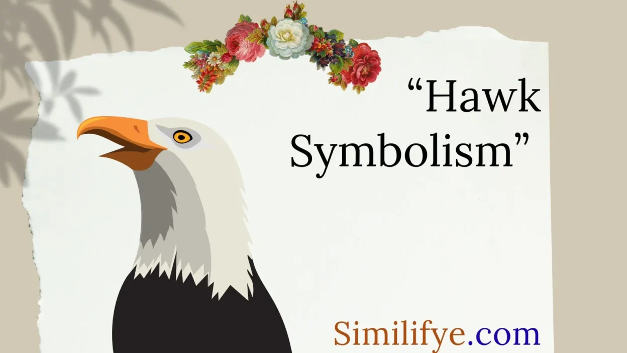 Hawk Symbolism