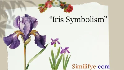 Iris Symbolism