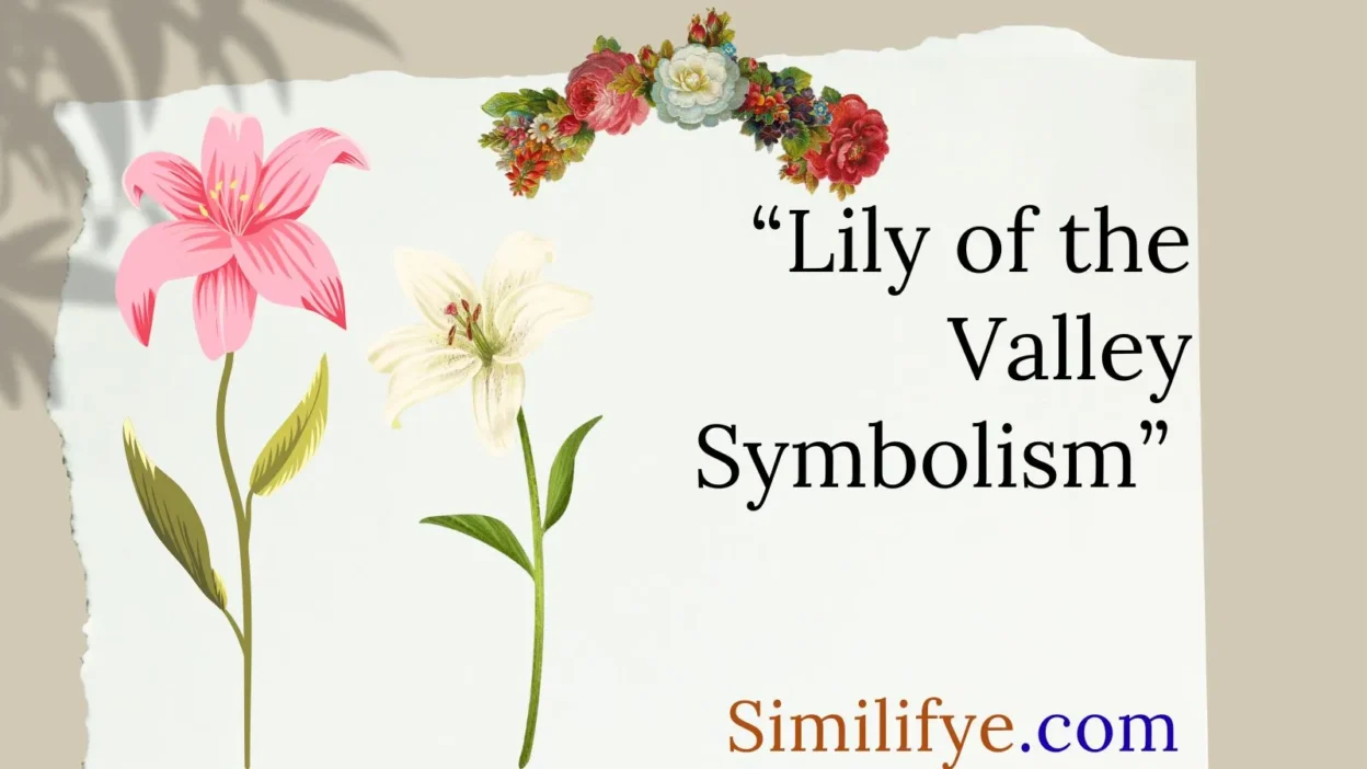Lily of the Valley Symbolism