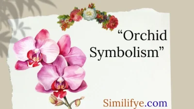 Orchid Symbolism