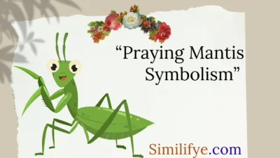 Praying Mantis Symbolism