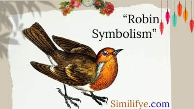 Robin Symbolism