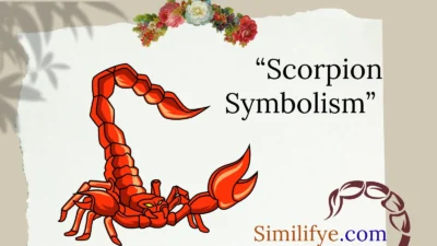 Scorpion Symbolism