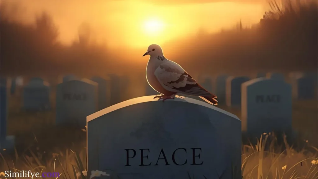 Brown Dove Symbolism Death