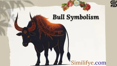 Bull Symbolism