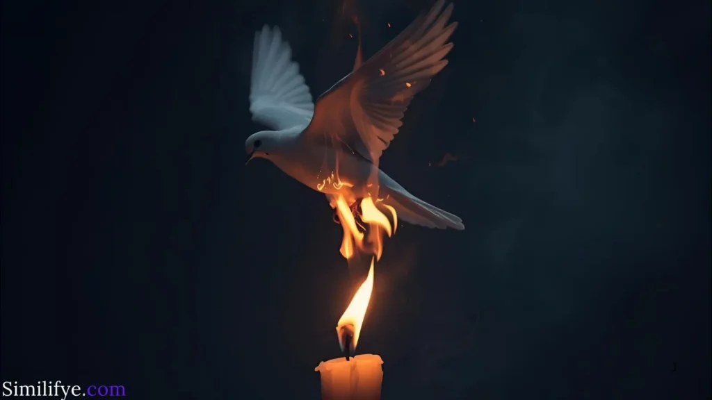Burning Dove Symbolism Death