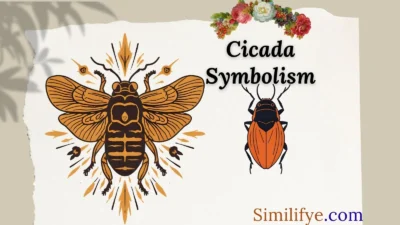 Cicada Symbolism
