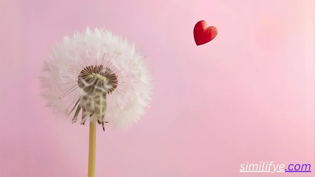 Dandelion Symbolism in Love