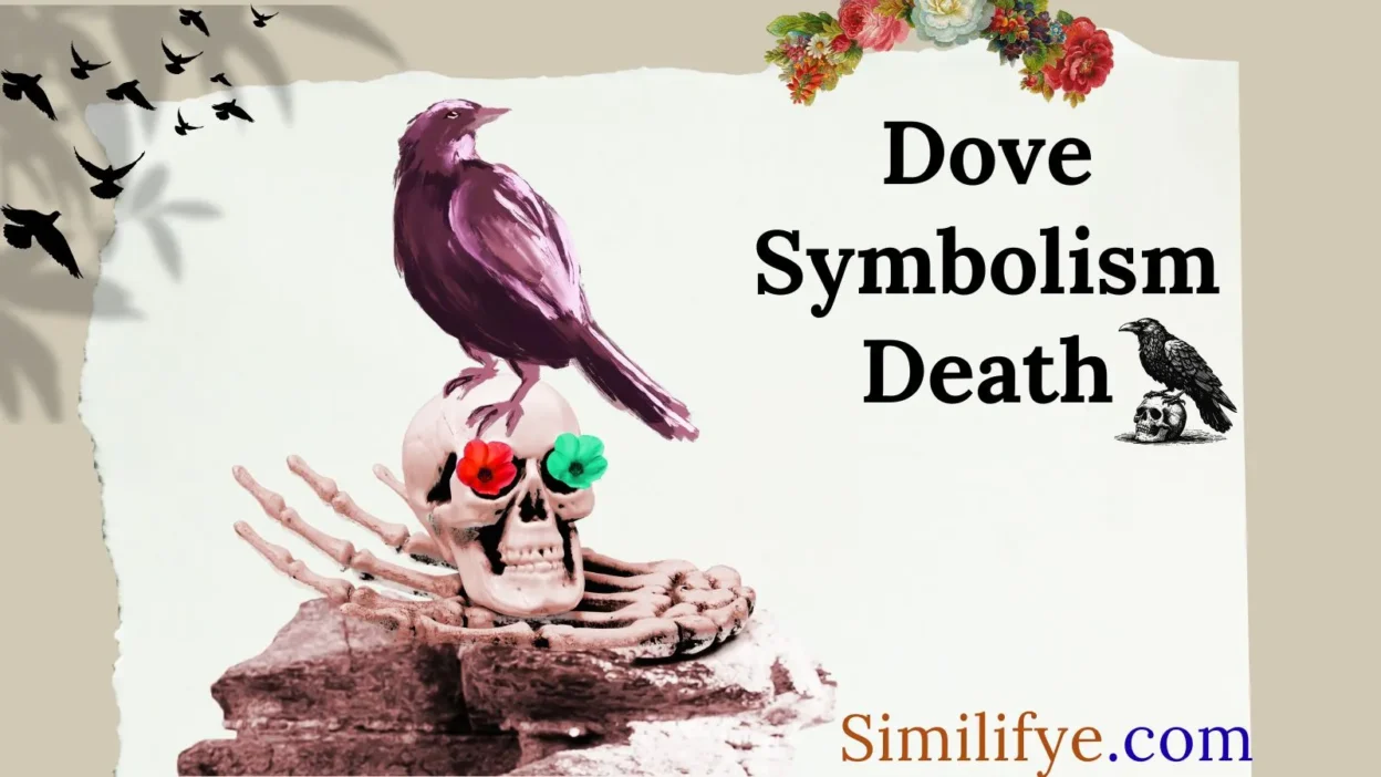 Dove Symbolism Death