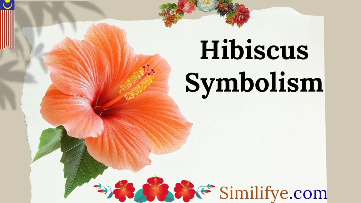 Hibiscus Symbolism