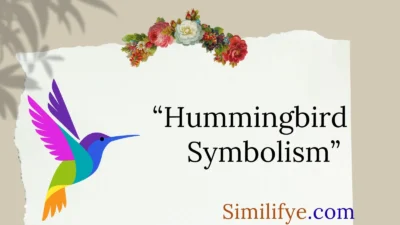 Hummingbird Symbolism