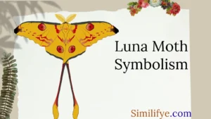 Luna Moth Symbolism