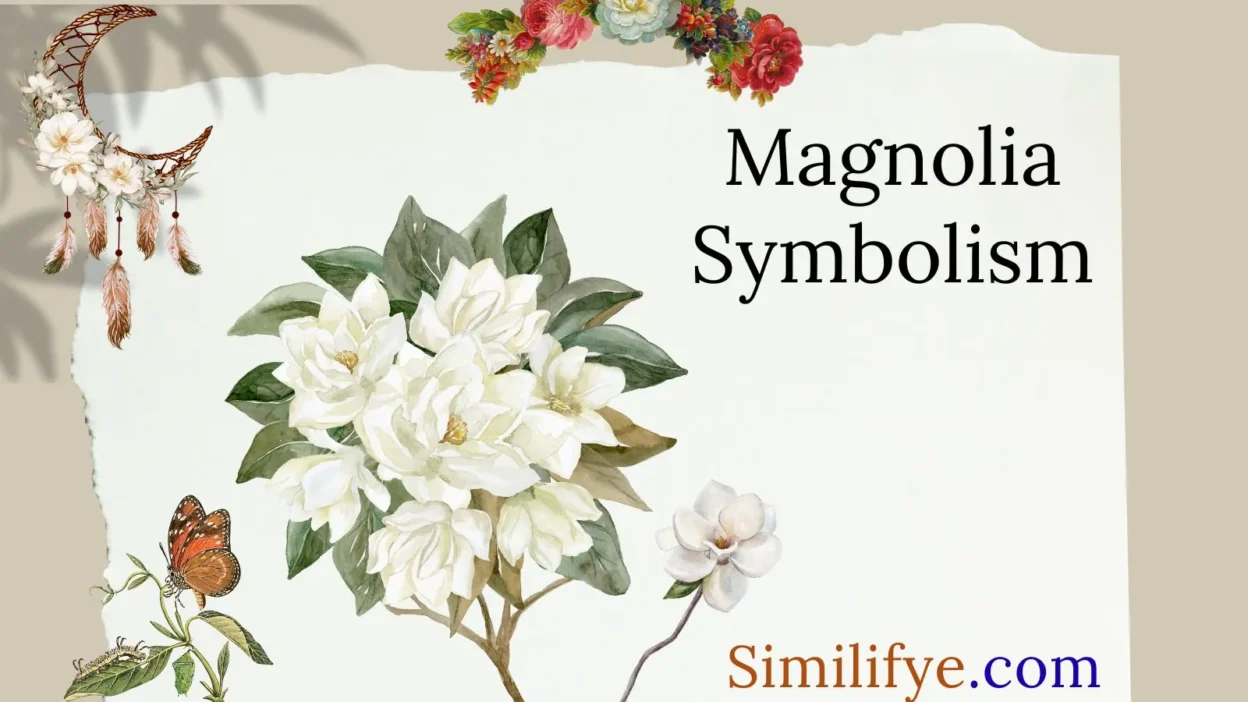 Magnolia Symbolism