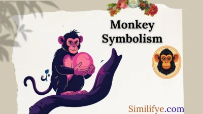 Monkey Symbolism