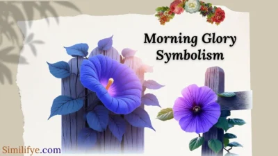 Morning Glory Symbolism