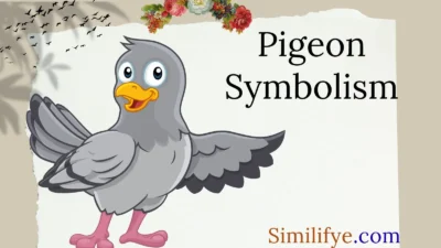 Pigeon Symbolism