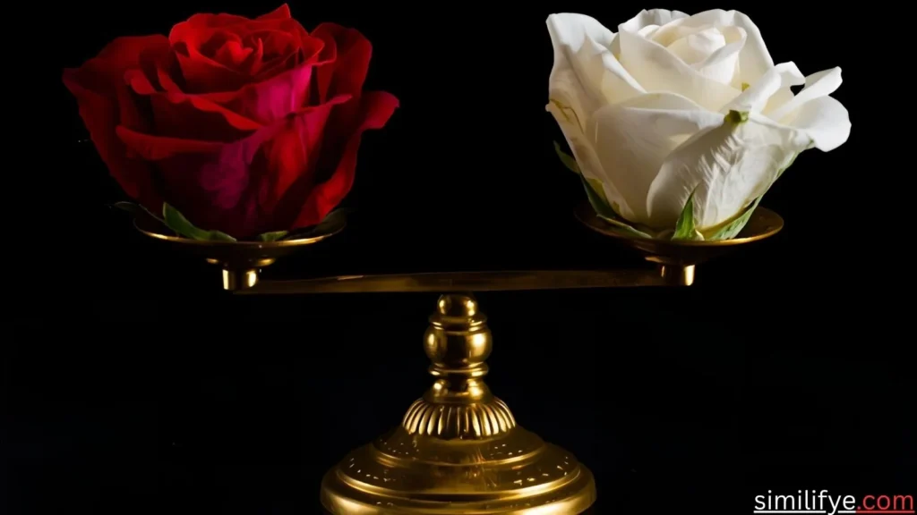 Red and White Rose Symbolism