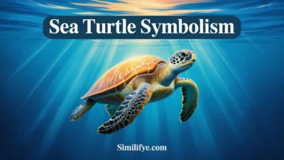 Sea Turtle Symbolism