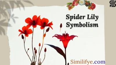 Spider Lily Symbolism
