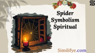 Spider Symbolism Spiritual