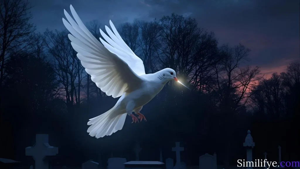 White Dove Symbolism Death
