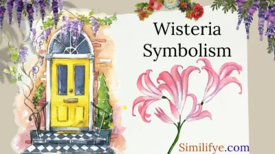 Wisteria Symbolism