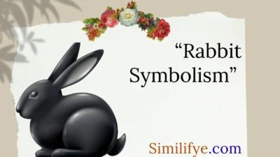 Rabbit Symbolism