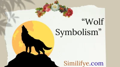 Wolf Symbolism