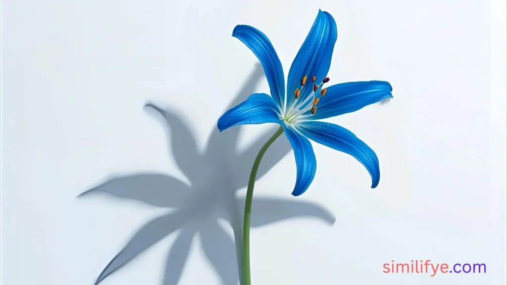 Blue Spider Lily Meaning
