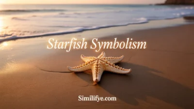 Starfish Symbolism