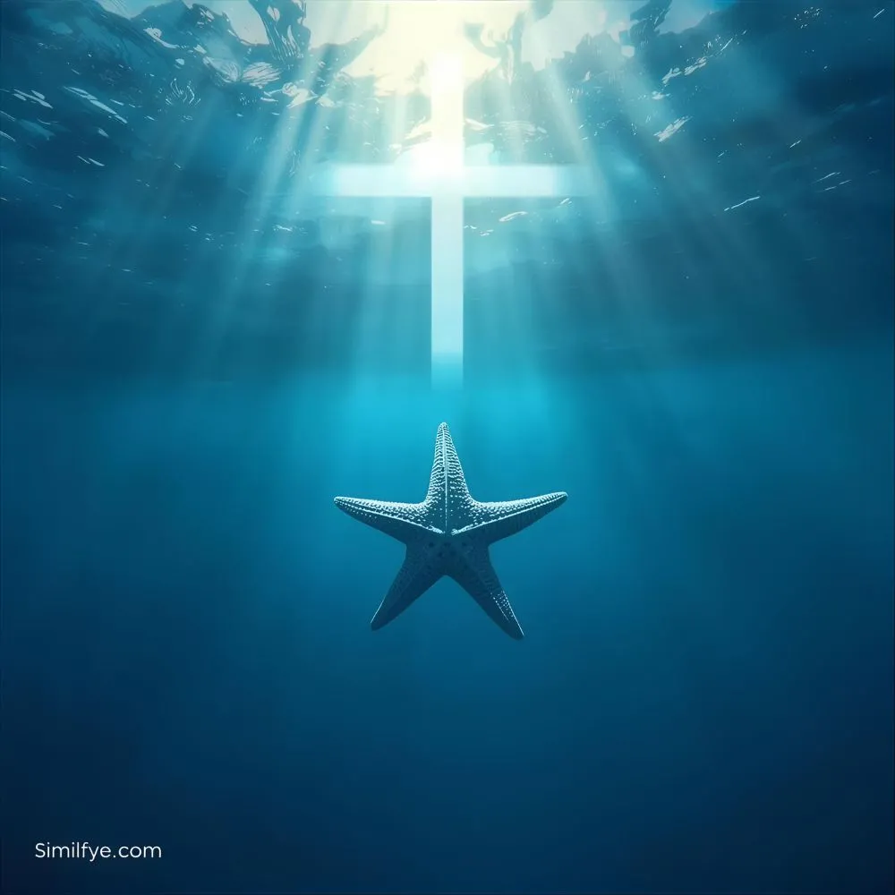 Starfish Symbolism in the Bible