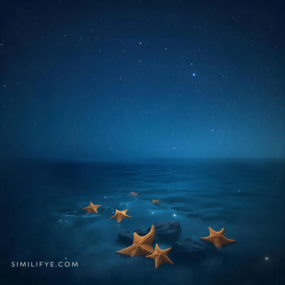 Starfish Symbolism Poem