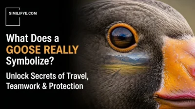Goose Symbolism