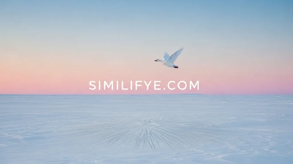 Snow Goose Symbolism