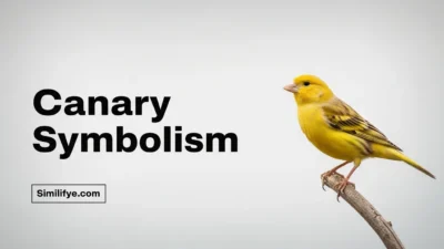 Canary Symbolism