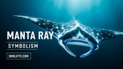 Manta Ray Symbolism