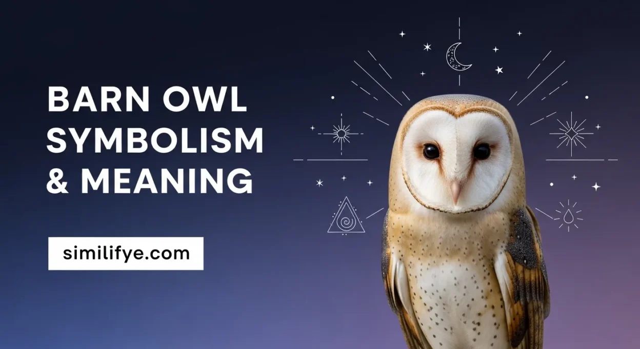 Barn Owl Symbolism