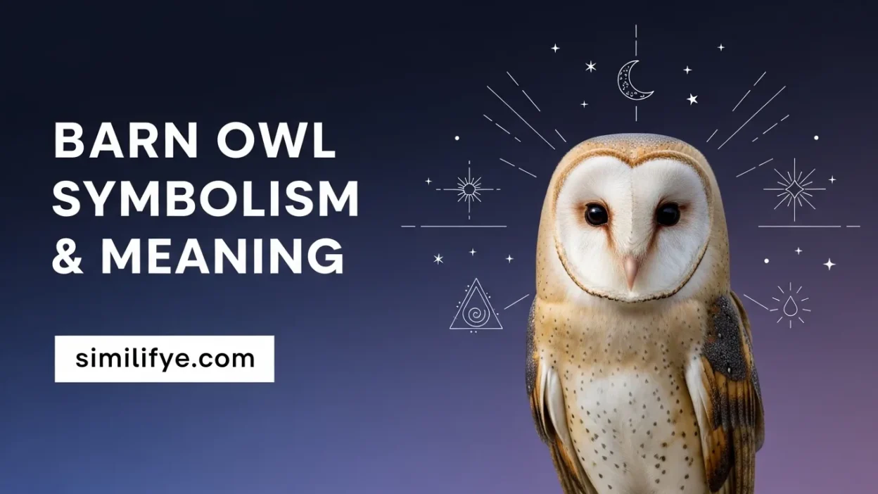 Barn Owl Symbolism